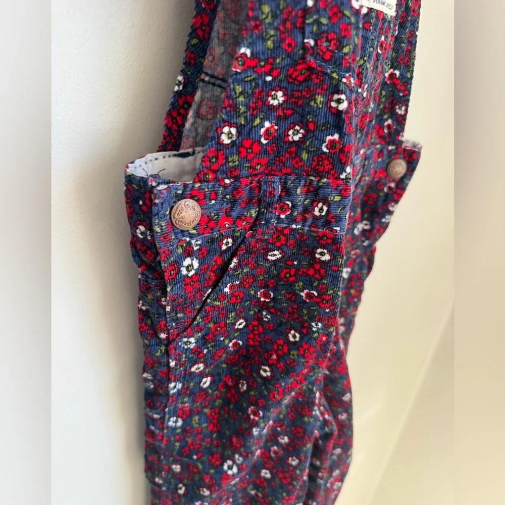Oshkosh B’gosh Vintage Floral Overalls 24M